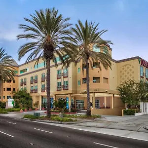 Desert Palms & Anaheim